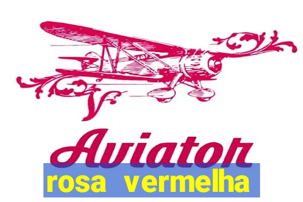 rosa vermelha (letra e cifra)